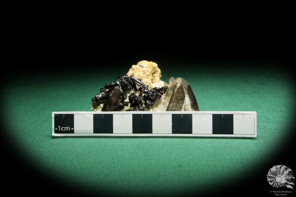 Smoky Quartz XX & Black Tourmaline (16866) a mineral from Namibia | Minerals | Global