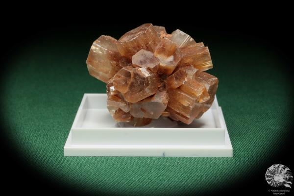 Aragonite XX (17990) a thumbnail from see pictures | Minerals | Thumbnails