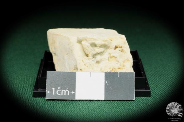 Calcit nach Glauberit XX (18036) eine Kleinstufe aus Siehe Bilder | Mineralien | Kleinstufen