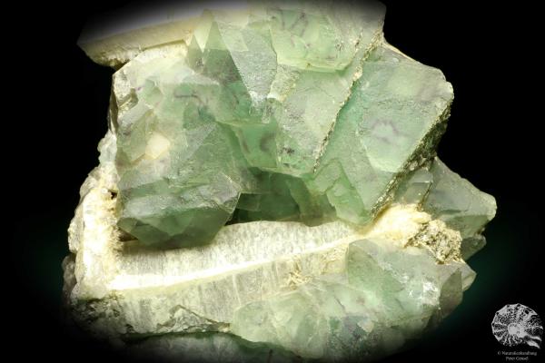 Fluorite XX on Quartz XX (19656) a mineral from Kazakhstan | Minerals | Global