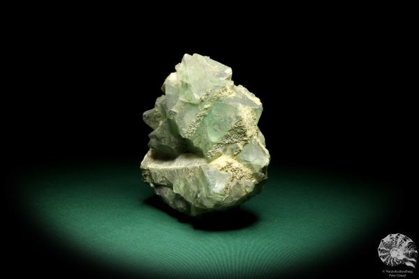 Fluorite XX on Quartz XX (19656) a mineral from Kazakhstan | Minerals | Global