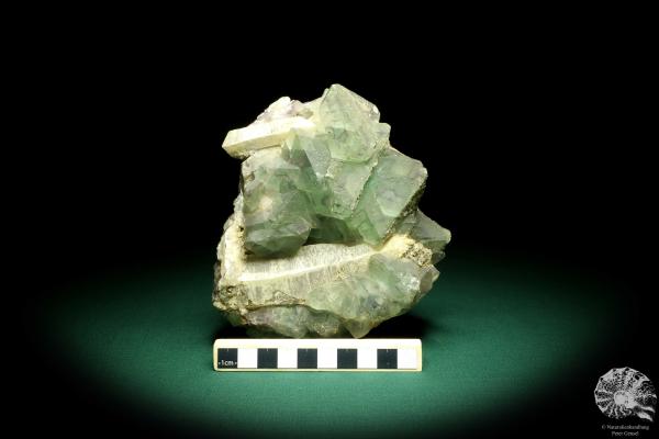 Fluorit XX auf Quarz XX (19656) ein Mineral aus Kasachstan | Mineralien | Weltweit