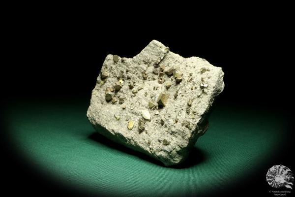 Sphalerit XX (19658) ein Mineral aus Kasachstan | Mineralien | Weltweit