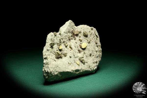 Sphalerit XX (19658) ein Mineral aus Kasachstan | Mineralien | Weltweit