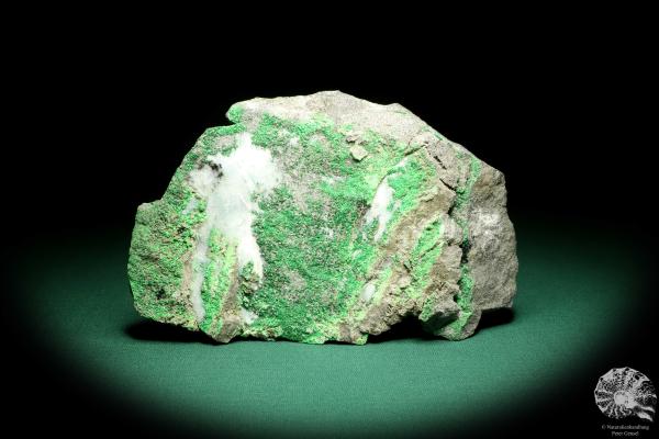 Uwarowit (19660) ein Mineral aus Russland | Mineralien | Weltweit