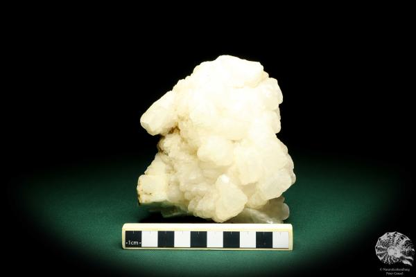 Calcite XX (19661) a mineral from Russia | Minerals | Global