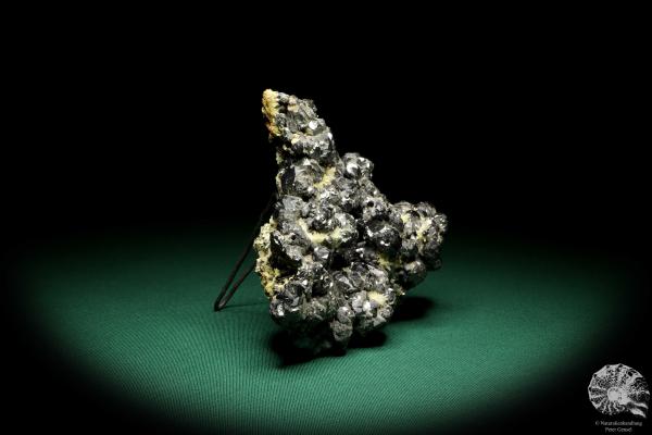 Sphalerit XX (19662) ein Mineral aus Rumänien | Mineralien | Weltweit