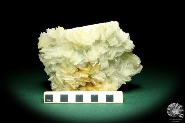 Baryt XX (19668) ein Mineral aus Rumänien | Mineralien | Weltweit