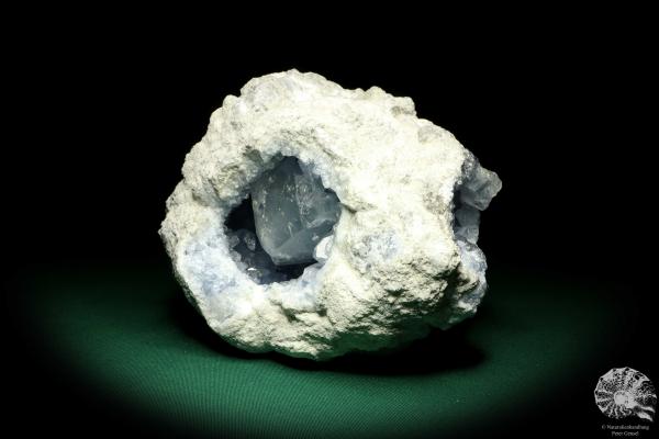 Coelestin XX (19669) ein Mineral aus Madagaskar | Mineralien | Weltweit