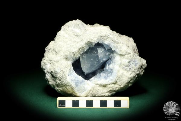 Coelestin XX (19669) ein Mineral aus Madagaskar | Mineralien | Weltweit