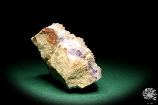 Amethyst XX ein Mineral