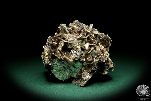 Muscovite (19690) a mineral from South America | Minerals | Global