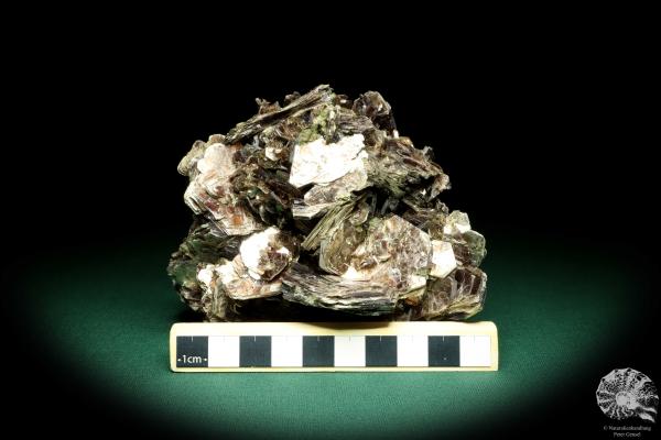 Muscovite (19690) a mineral from South America | Minerals | Global