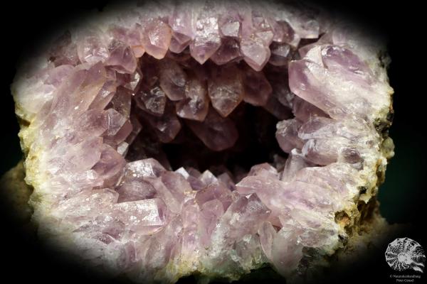 Amethyst XX (19691) ein Mineral aus Afrika | Mineralien | Weltweit