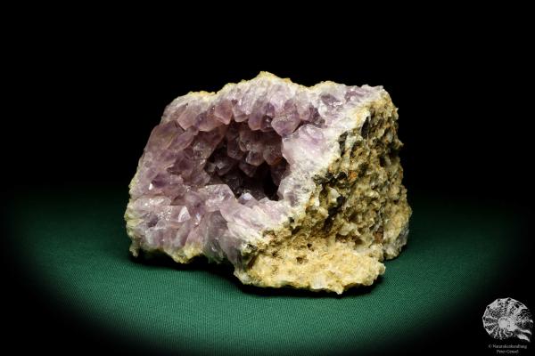 Amethyst XX (19691) ein Mineral aus Afrika | Mineralien | Weltweit