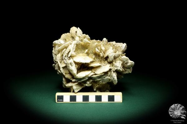 Gypsum XX (19700) a mineral from Kazakhstan | Minerals | Global