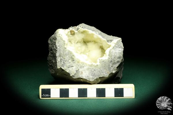 Okenite XX (19702) a mineral from India | Minerals | Global