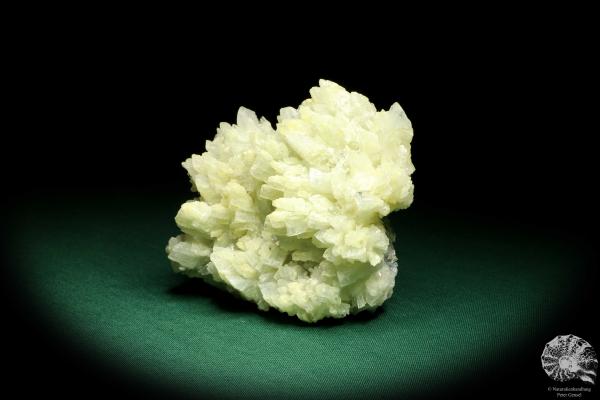 Barite XX with Calcite (19703) a mineral from Romania | Minerals | Global