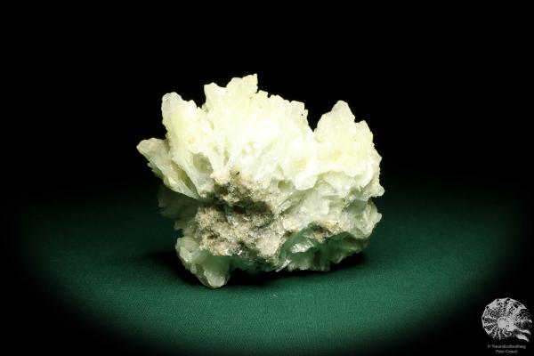 Barite XX with Calcite (19703) a mineral from Romania | Minerals | Global