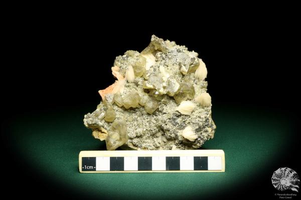 Cerussit XX & Baryt XX (19704) ein Mineral aus Marokko | Mineralien | Weltweit