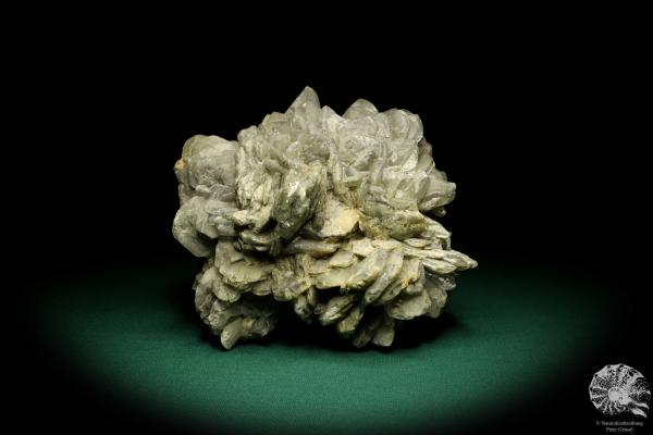 Gypsum XX (19710) a mineral from Germany | Minerals | From Germany