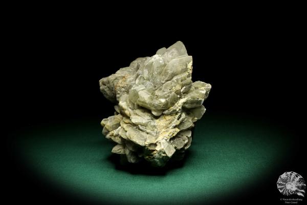 Gypsum XX (19710) a mineral from Germany | Minerals | From Germany