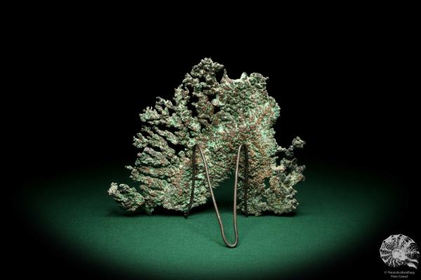 Solid Copper (19712) a mineral from Kazakhstan | Minerals | Global