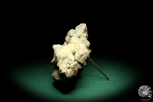 Calcite Sinter (19713) a mineral from Germany | Minerals | From Germany