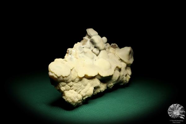 Calcite Sinter (19713) a mineral from Germany | Minerals | From Germany