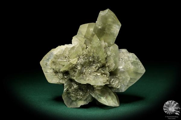 Gypsum XX (19892) a mineral from Germany | Minerals | From Germany