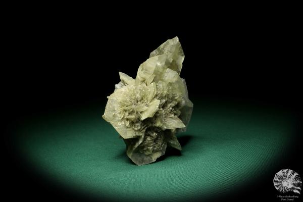 Gypsum XX (19892) a mineral from Germany | Minerals | From Germany