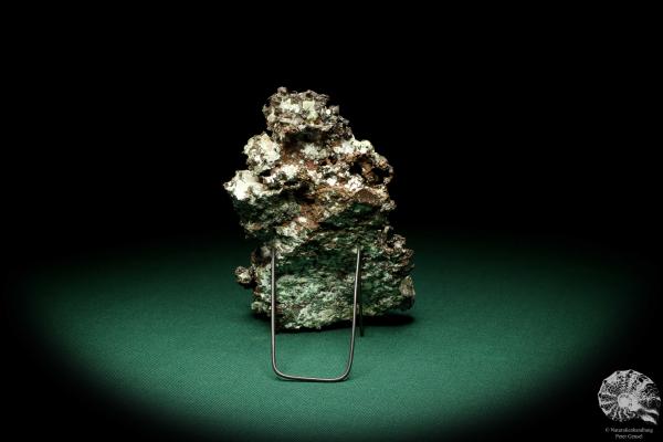 Solid Copper (19896) a mineral from Mexico | Minerals | Global