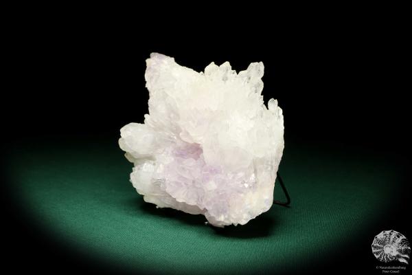 Amethyst (19897) a mineral from Brazil | Minerals | Global