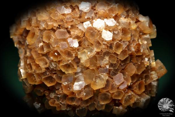 Aragonite XX (19899) a mineral from Spain | Minerals | Global