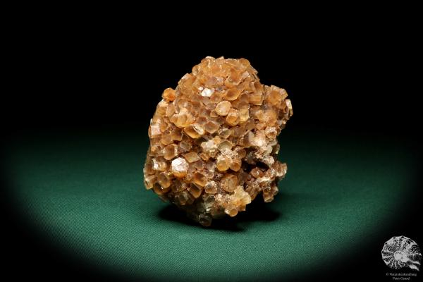 Aragonite XX (19899) a mineral from Spain | Minerals | Global