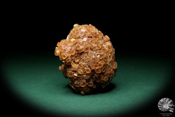 Aragonite XX (19899) a mineral from Spain | Minerals | Global