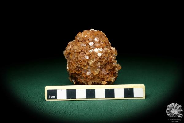 Aragonite XX (19899) a mineral from Spain | Minerals | Global