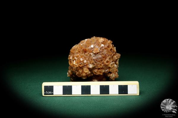 Aragonite XX (19899) a mineral from Spain | Minerals | Global