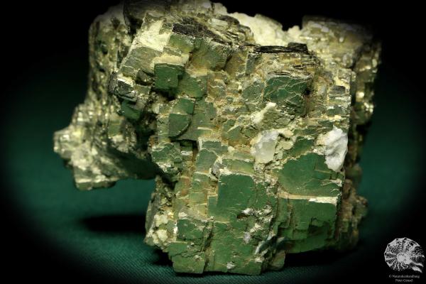 Pyrite XX (19901) a mineral from Germany | Minerals | From Germany