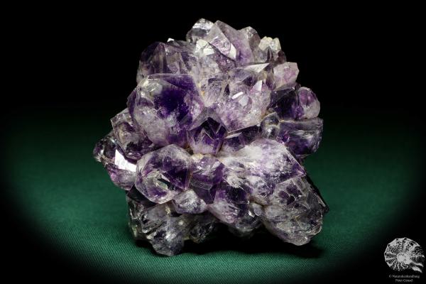 Amethyste XX (19903) a mineral from Uruguay | Minerals | Global