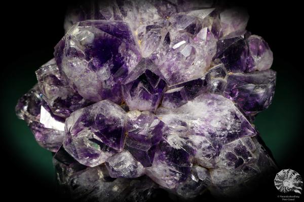 Amethyste XX (19903) a mineral from Uruguay | Minerals | Global