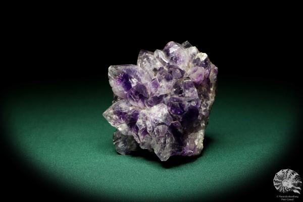 Amethyst XX (19903) ein Mineral aus Uruguay | Mineralien | Weltweit