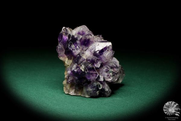 Amethyste XX (19903) a mineral from Uruguay | Minerals | Global