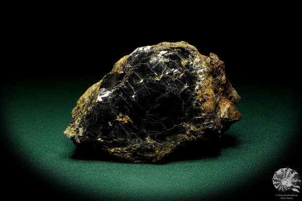 Biotite with Zircon XX a mineral