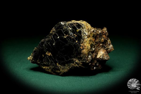 Biotite with Zircon XX a mineral