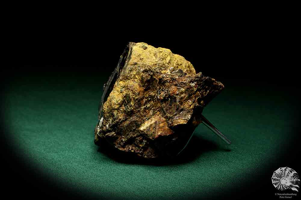 Biotite with Zircon XX a mineral