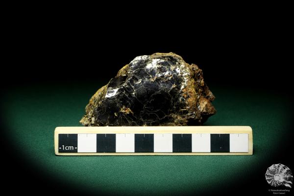 Biotite with Zircon XX a mineral