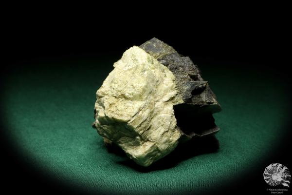 Muscovit XX (19907) ein Mineral aus Norwegen | Mineralien | Weltweit