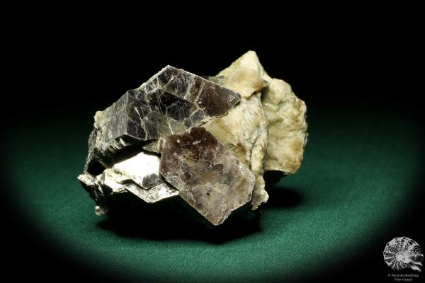 Muscovite XX (19907) a mineral from Norway | Minerals | Global