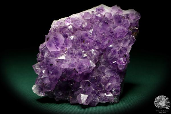 Amethyst XX (19908) ein Mineral aus Brasilien | Mineralien | Weltweit